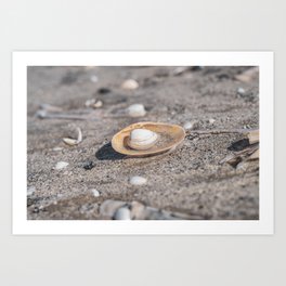 Seashells on the beach art print - coastal summer nature and travel photography Art Print