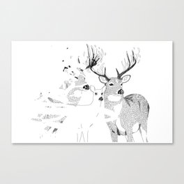 Deers Canvas Print