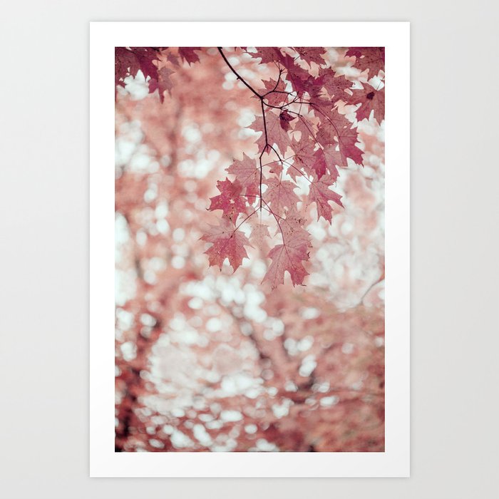 Pink, Peach, and Coral Maple Leaves Art Print