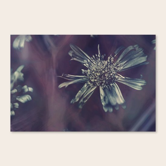 #86 Canvas Print