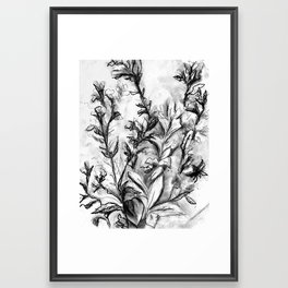 Charcoal Flowers 03 Framed Art Print