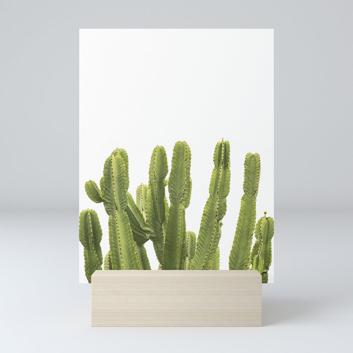 Bright Green Cactus  Mini Art Print