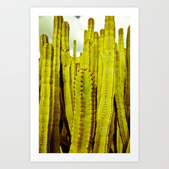 E. canariensis Art Print