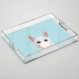 Bubble gum cat in blue Acrylic Tray