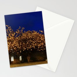 Cherry blossom at night Stationery Cards