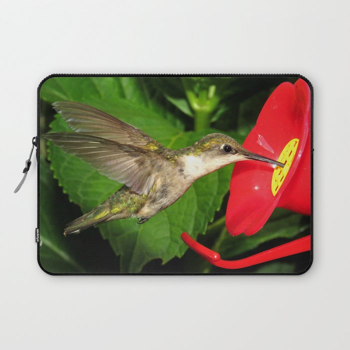 Hovering hummingbird 27 Laptop Sleeve