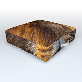 Majestic Lion Outdoor Floor Cushion | Jamaica, Africa, Animal, Lion, Music, Tiger, Rasta, Boysbedroom, Natural, Predator 