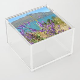 New Zealand Photography - Purple Toadflax By The Blue Water Acrylic Box