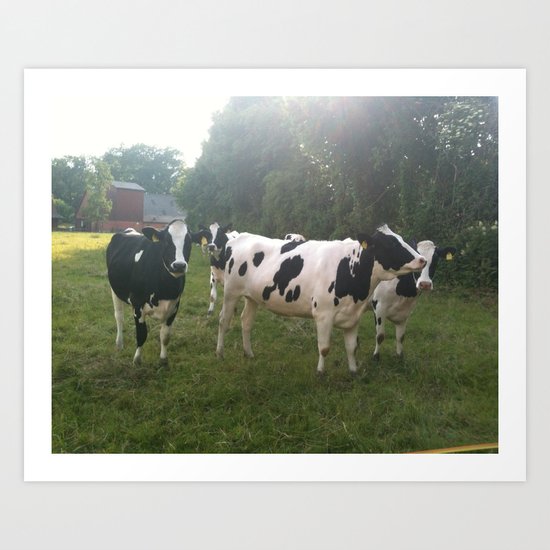 German Cows Art Print