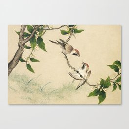 Gossiping Sparrows Canvas Print