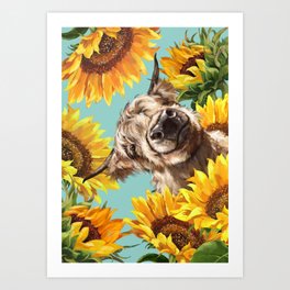 Highland Cow with Sunflowers in Blue Art Print