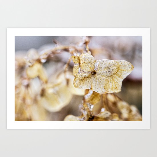 iced Art Print