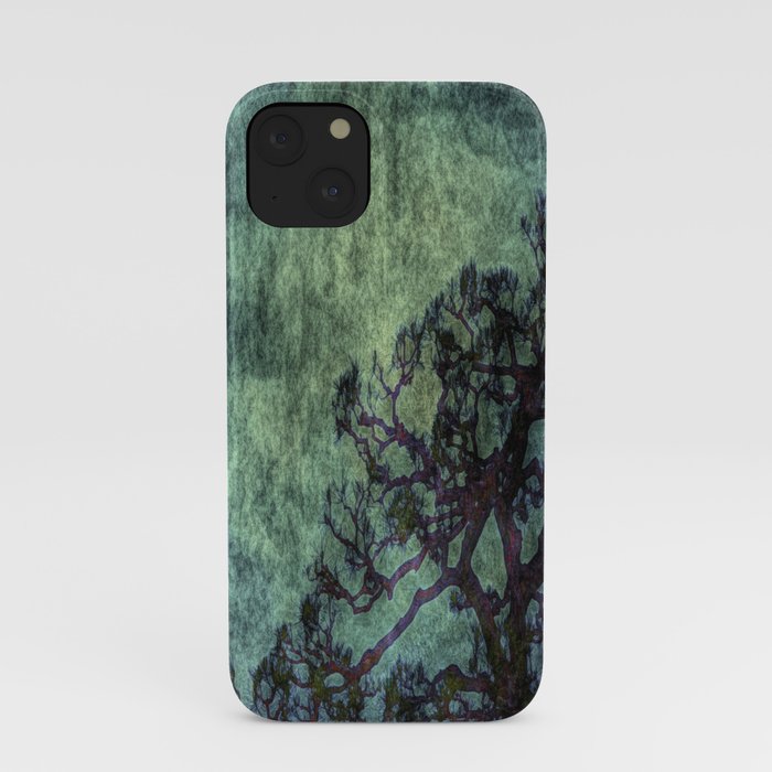 Early Summer iPhone Case