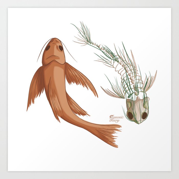 Life and Death | Koi Skeleton | Yin Yang | Algae | Vulture Culture