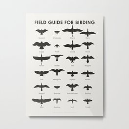 Field Guide for Birding Identification Chart Metal Print | School, Watching, Flight, Birds, Silhouettes, Identification, Digital, Pattern, Infographics, Vector 