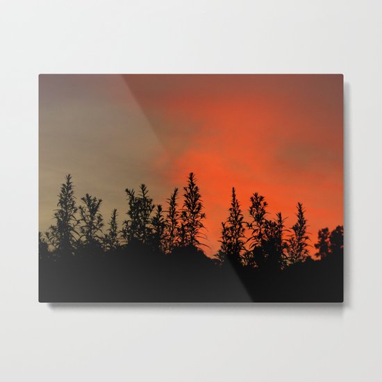 Who Needs Skyscrapers? Metal Print