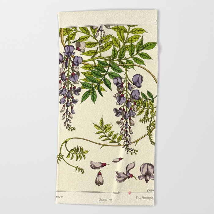 French botanical flower plate - Maurice Verneuil - Glycine Beach Towel