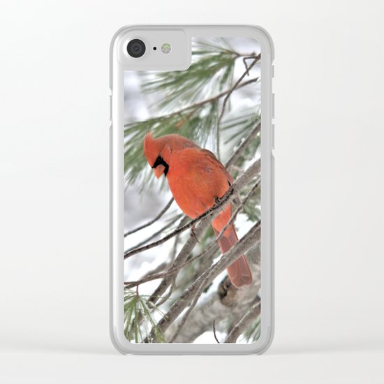 Snow Globe Cardinal Clear iPhone Case