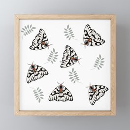 Swirl Moth Pattern  Framed Mini Art Print