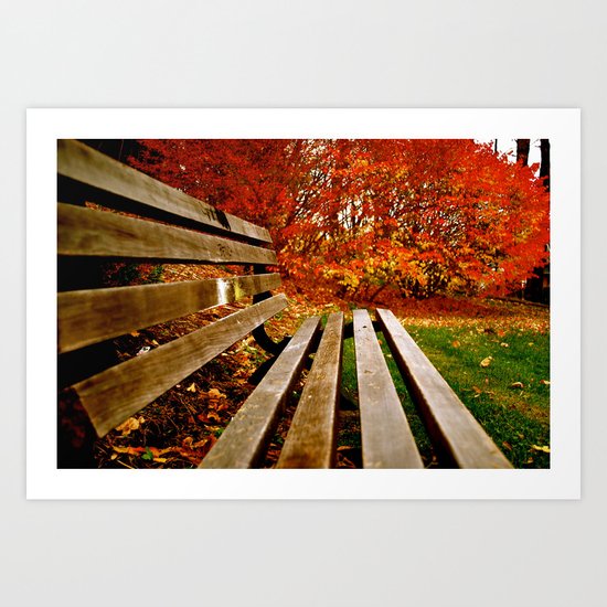 Bench Art Print