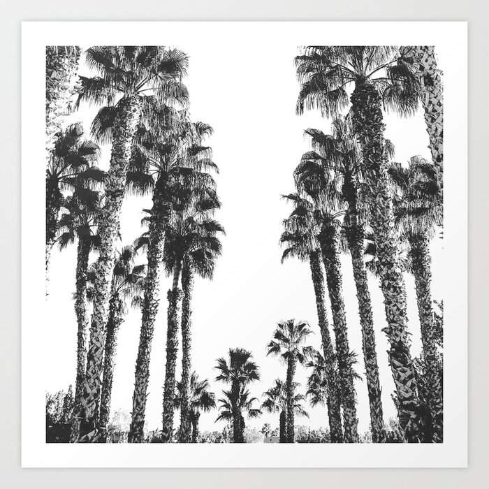 Palm Tree Days {2 of 2} Tropical Black and White Cali Art Print Art Print