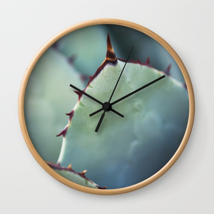 Agave Plant II Wall Clock