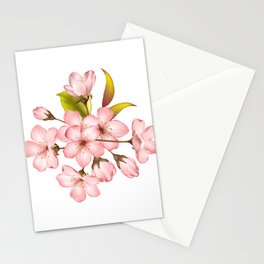 Pink Cherry Blossom on white background 3 Stationery Card