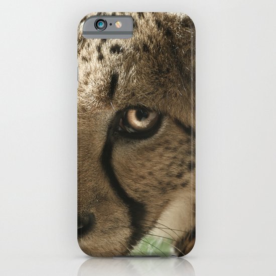 Cheetah iPhone & iPod Case