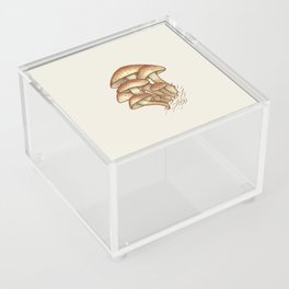 Mushroom Illustration Acrylic Box