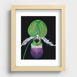 Ladyslipper Paphiopedilum Orchid Recessed Framed Print