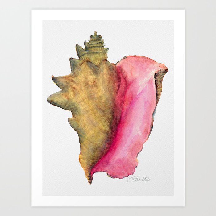 Conch Shell Art Print