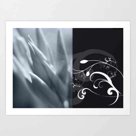 BLACK & WHITE Art Print