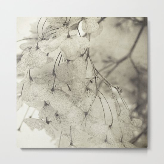 snow and flowers Metal Print