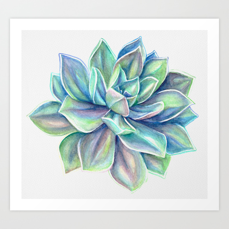 Watercolor Succulent Art Print By Silva Arts | Society6