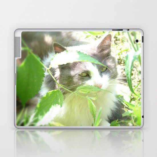 PRINCESS ZELDA Laptop & iPad Skin