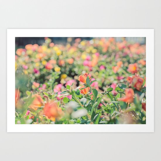 Bokeh Art Print