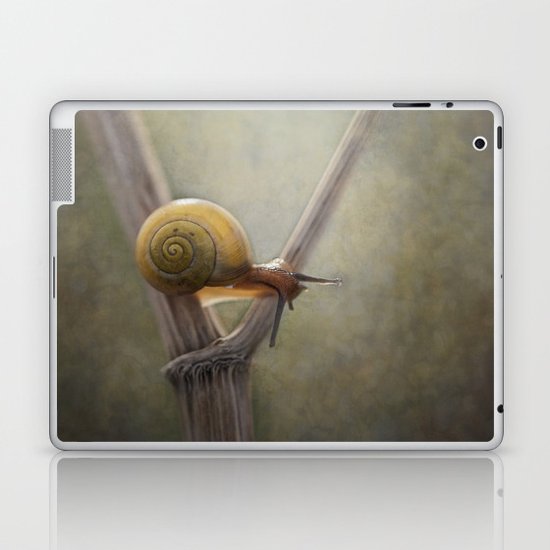 ' Y ' Laptop & iPad Skin