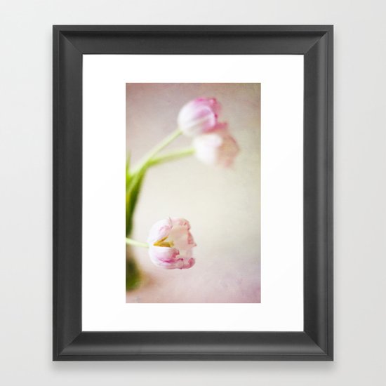 Lone Tulip Framed Art Print