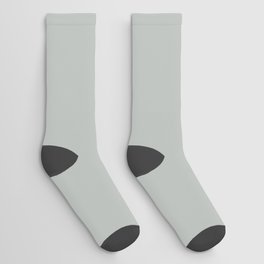 Light Gray Solid Color Pantone Metal 14-4503 TCX Shades of Green Hues Socks
