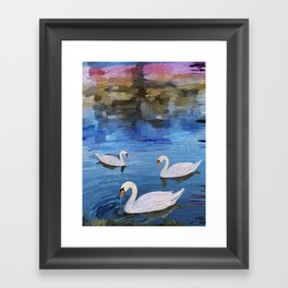 Swans on the lake Framed Art Print