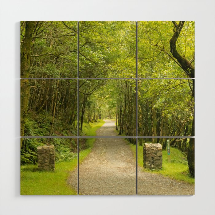 Into the Woods Wood Wall Art