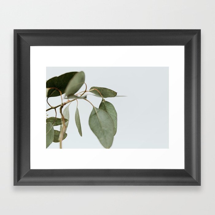 Seeded Eucalyptus | 1 Framed Art Print