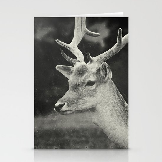 Still Stationery Cards