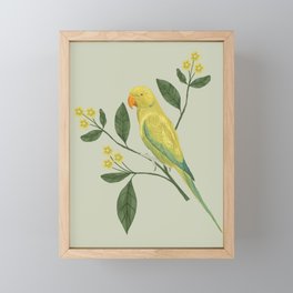 Parrot Framed Mini Art Print