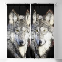 Spiked Gray Wolf Blackout Curtain
