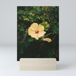 Hibiscus Mini Art Print