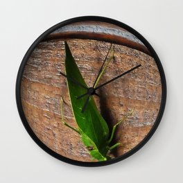 Katydid Wall Clock
