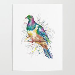 Sketchy Wood Pigeon (Kereru) Poster