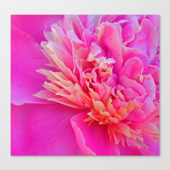Flames Canvas Print