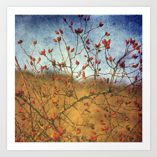 Rosehip Art Print
